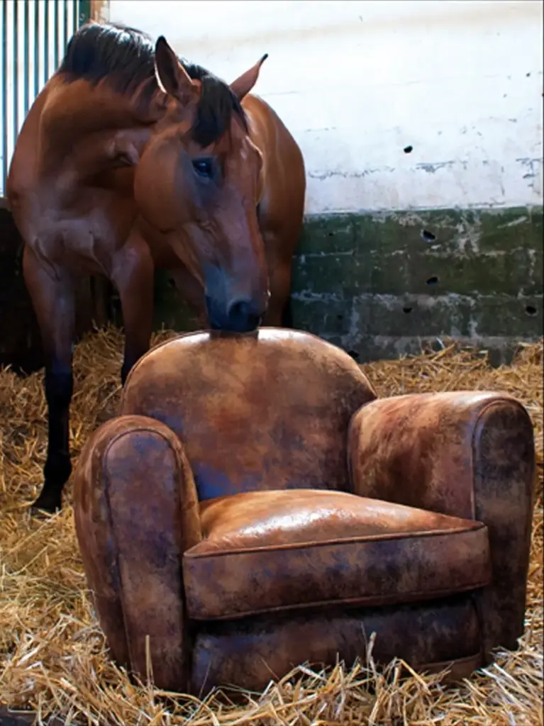 Fauteuil Club ( Uniquement sur commande ou restauration de vos modèles )