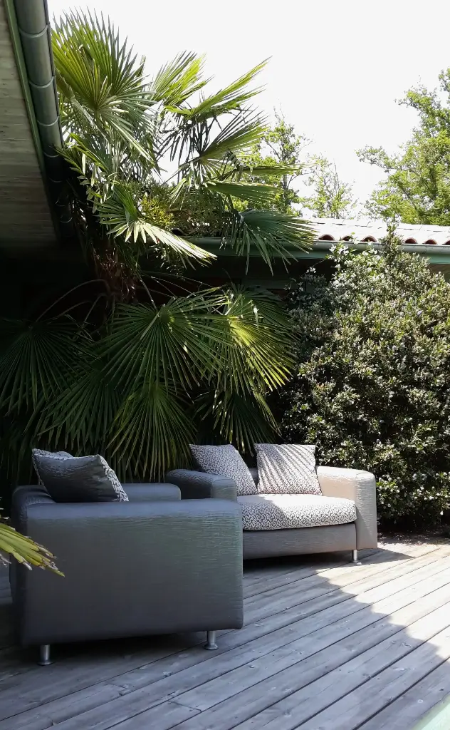 Fauteuil Dolphin ( Uniquement sur commande )